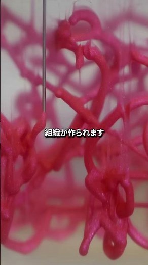 空中に浮かぶ臓器
