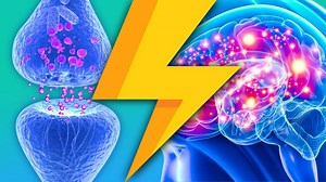 Lightning Learning: Serotonin Syndrome — EM3