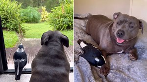 Peggy's cancer surgery brings community support