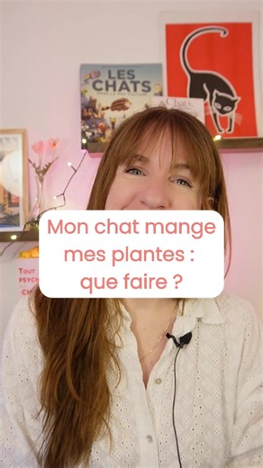 Comprendre le comportement de ton chat et tes plantes