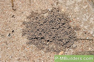 How To Identify Termite Kot 🔧🔧 Tipps Für Heimwerker. Machen Sie Ihre Eigenen Hände - 2025