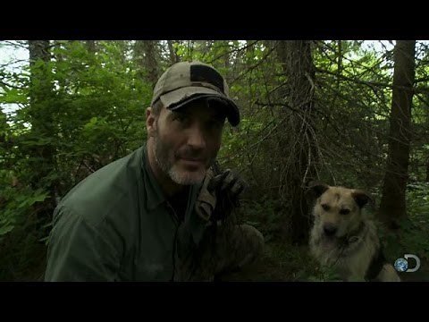 Farm Dog Trick | Lone Target