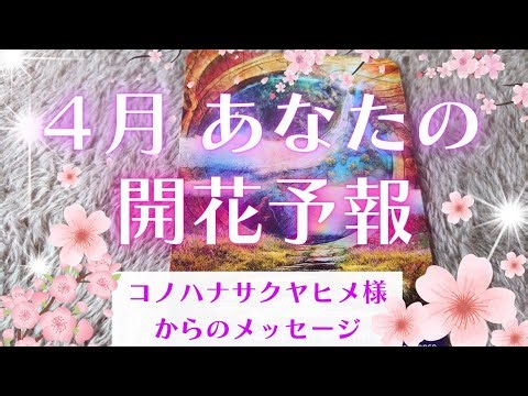【開運】✨あなたが咲き誇る🌸高次元タロット&オラクルカードリーディングメッセージ
