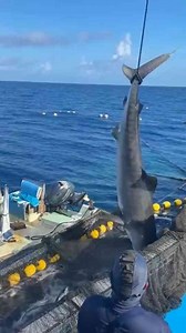 Mastering Animal Trapping: Techniques for Safe Animal Catching