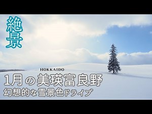 【美瑛富良野】1月の絶景雪景色ドライブ#129/パノラマロード江花・クリスマスツリーの木・ジェットコースターの路・深山峠と熱々グルメ