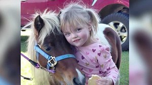 Man arrested after striking 3-year-old child to death in Marion County, deputies say