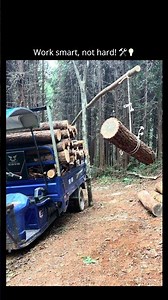 Homemade crane for logs! #logging #diytrucking #mechanicaladvantage #farmlife #tools