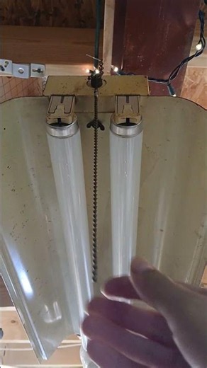 2" (White) Vintage Preheat Fluorescent Light Demonstration.