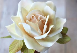 How to Make a Large Gumpaste Rose