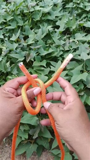 "Everyone Can Do This Knot!" #knot #diy #shorts