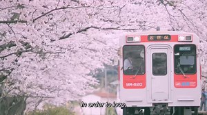 109K views · 18K reactions | BTS - Your Eyes Tell (Live) 헮헻헼혁헵헲헿 헝헮헽헮헻헲혀헲 혁헿헮헰헸♡ 헵헮혃헲 혆헼혂 현헮혁헰헵헲헱 혁헵헲 헲헻혁헶헿헲 헽헲헿헳헼헿헺헮헻헰헲 혆헲혁? 헶혁 현헮혀 혀헼 헯헲헮혂혁헶헳혂헹~ vid credit: 佐賀県観光連盟《公式》Saga Prefectural Tourism Federation | Youniverse | Facebook