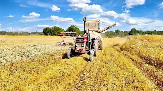 Field work with a Massey 165 & CLAAS