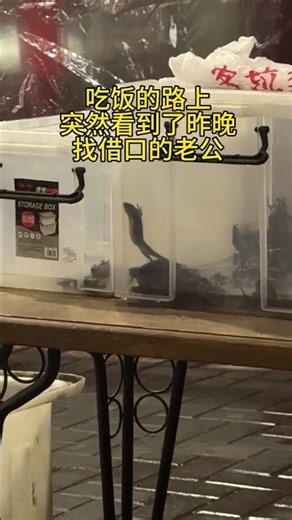 Unexpected Meeting: A Hilarious True Story