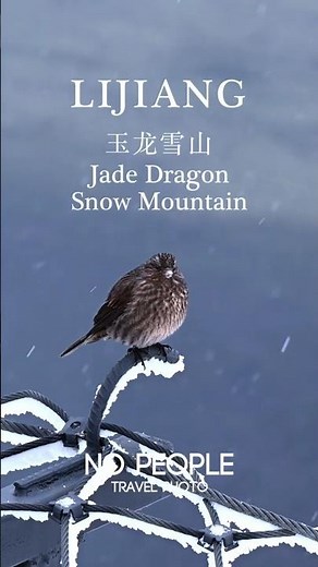 Majestic Jade Dragon Snow Mountain of Lijiang 🌸 Yunnan #travel #cinematic #explorechina #lijiang