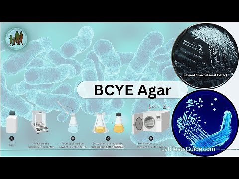 BCYE Agar (Buffered Charcoal Yeast Extract Agar) - A Microbiological Marvel