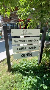 Farm Stand is open, and the food is fresh!!! Pay what you can, stay for a farm walk. Come see us! We’ve got organic: Blackberries Kale Chard Collards Cabbage Onion Leeks Potatoes Carrots Cucumbers Tomatoes (slicers, cherry, and green!) Lunchbox peppers Eggplant Shishito peppers Squash Herbs PS Pay What You Can for all of this goodness @fergfarmersmarket Satueday from 8am-Noon, too! ID: Video shows the Farm Stand Open sign, the produce list for today, the Double Up Food Bucks sign and a slow pan 