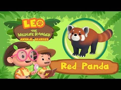 The Red Panda | Releases a smell when scared! | Leo the Wildlife Ranger | Fun Animal Facts