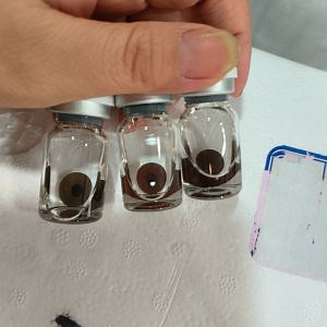 [Hot Item] Natural Color Yearly Use Iris Lenses High Quality Prosthetic Contact Lens for Eyes