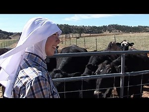 Rancher Nuns