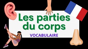 81K views · 7.2K reactions | Apprenez à prononcer les différentes parties du corps en français. Resources et leçons pour apprendre le français : https://learntofrench.com | Learn To French | Facebook