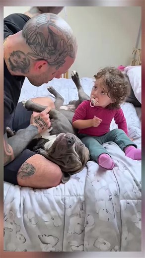 Sophia, don't worry, Dad is just joking with Mino 🥹🥰 #pet #baby #dog #petoftiktok #dogoftiktok