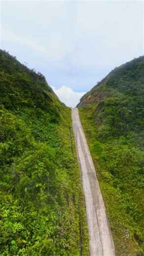 Tru-Cut Mt Diwalwal Monkayo to Davao Oriental Road