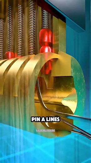 6.5K views | Random Facts You don't know! #universeunlocked1 #factsyoudidntknow #zackdfilms #3danimation #creator | Universe unlocked1 | Facebook