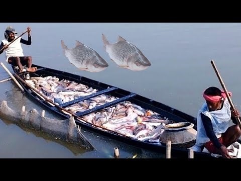 Traditional Bangladeshi Fishing You’ve Never Seen Before him | fishing | Bengal fishing