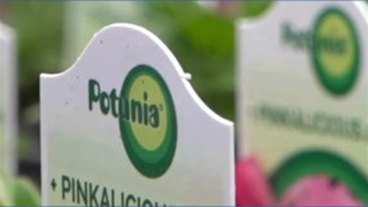 Wild temperature swings delay seasonal planting in south-central Pennsylvania