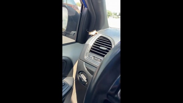 Lizard clings to car air vent during unexpected ride in St. Mary's, Georgia, USA