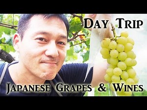 Amazing Grapes and Wines in Yamanashi (Day Trip)【ぶどう狩り】山梨・勝沼でぶどう三昧ワイン三昧・・ご満悦