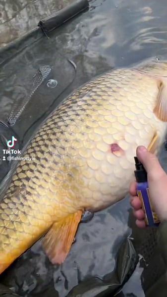 How to Rig Your Bait for Maximum Success in Any Fishing Style