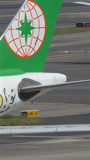 長榮航空 A330 起飛前飛控測試｜尾翼方向舵與昇降舵動作｜A330 Tail in Motion! EVA Air Flight Control Check at TPE