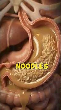 What Really Happens Inside Your Body When You Eat Noodles