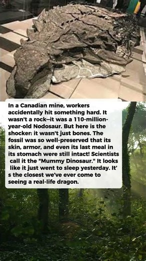 A Miner Found a "Dinosaur" Still With Its Skin!