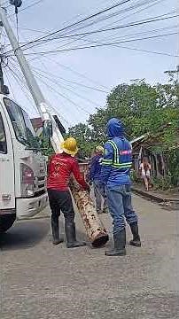 pole replacement 35 ft long