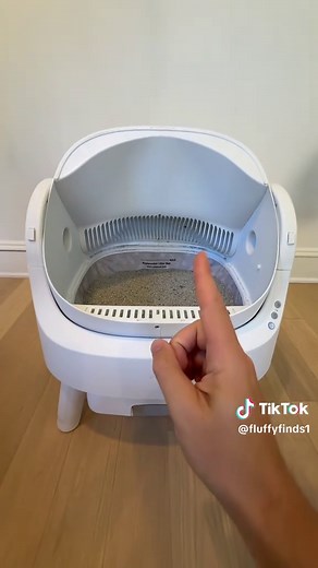 Replying to @Bawskee2 7 cats is no problem!