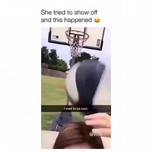 The Homemade Humour on Reels