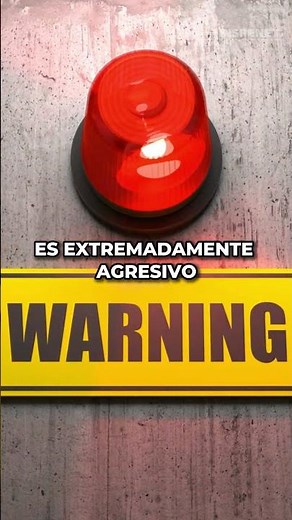 Hydrodesulfurization: The process that CLEANS CRUDE OIL but corrodes STEEL