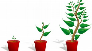 Substrat – Was ist das? Eine Definition