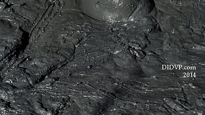 Bikini in Mud #1--Constanza: Constanza sinks in very thick, deep mud - UMD