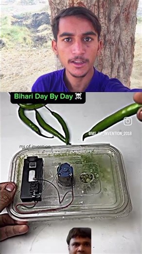 Salaam Bhai's Cinematic Universe