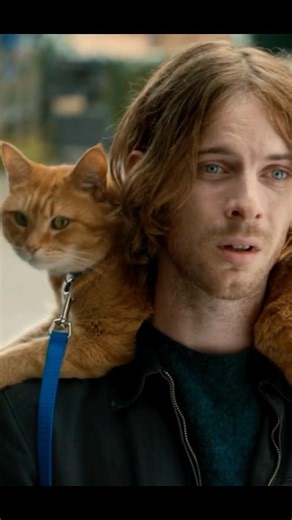 💖"He was a little ginger cat with a big mission to bring a man back to life. 😺 🐈#shorts