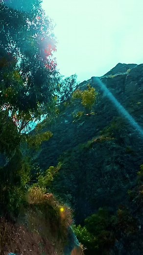 Cupido 💞 #elgrancombodepuertorico #salsa #salsaromantica #salsabaul #musica #cantante #album #song