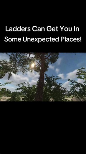 How to Safely Climb Trees Using a Ladder