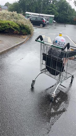 67 (@polygon469)’s videos with Super Mario Bros Main Theme - Geek Music