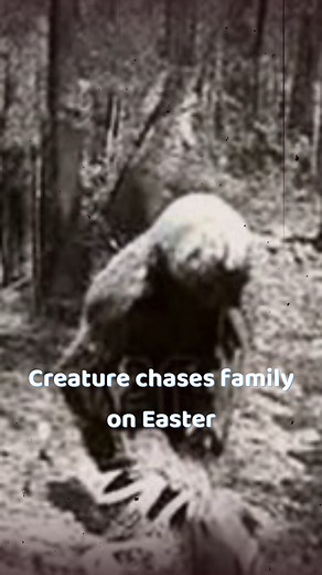 Easter encounter | Bigfoot Evidence
