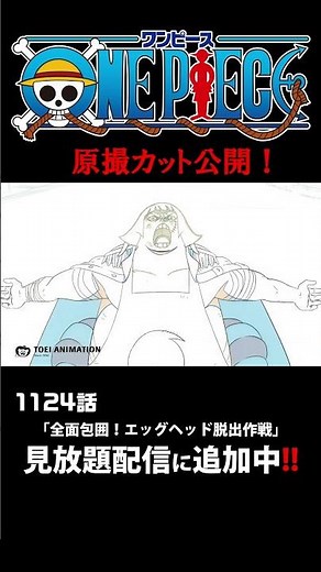 アニメ「#ONEPIECE」見放題配信に1124話が追加‼️ #onepiece #原撮