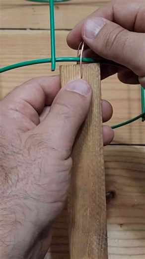 Grab a Dollar Tree solar light and a tomato cage 💡