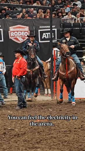 HANGING HORSES on Instagram: "Even from the photographers box, Scott Guenthner’s Canadian record breaking final round at the CFR was so intense, music would not have done it justice. Scott is on Tanner Milan’s ‘EDDIE’ — Enjoy! @scott_guenthner @canadianfinalsrodeo_official @tanner_milan @prorodeocanada_cpra — 🤠 COWBOYS & CONTRACTORS: Tag yourselves or DM for credit — pinned comment goes to you. 💬 Conversation encouraged! 🚫 Leave a dick comment? Blocked faster than an open gate. Thx. 🐎 No ani